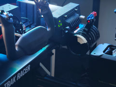 PLATINUM FLIGHT SIMULATOR