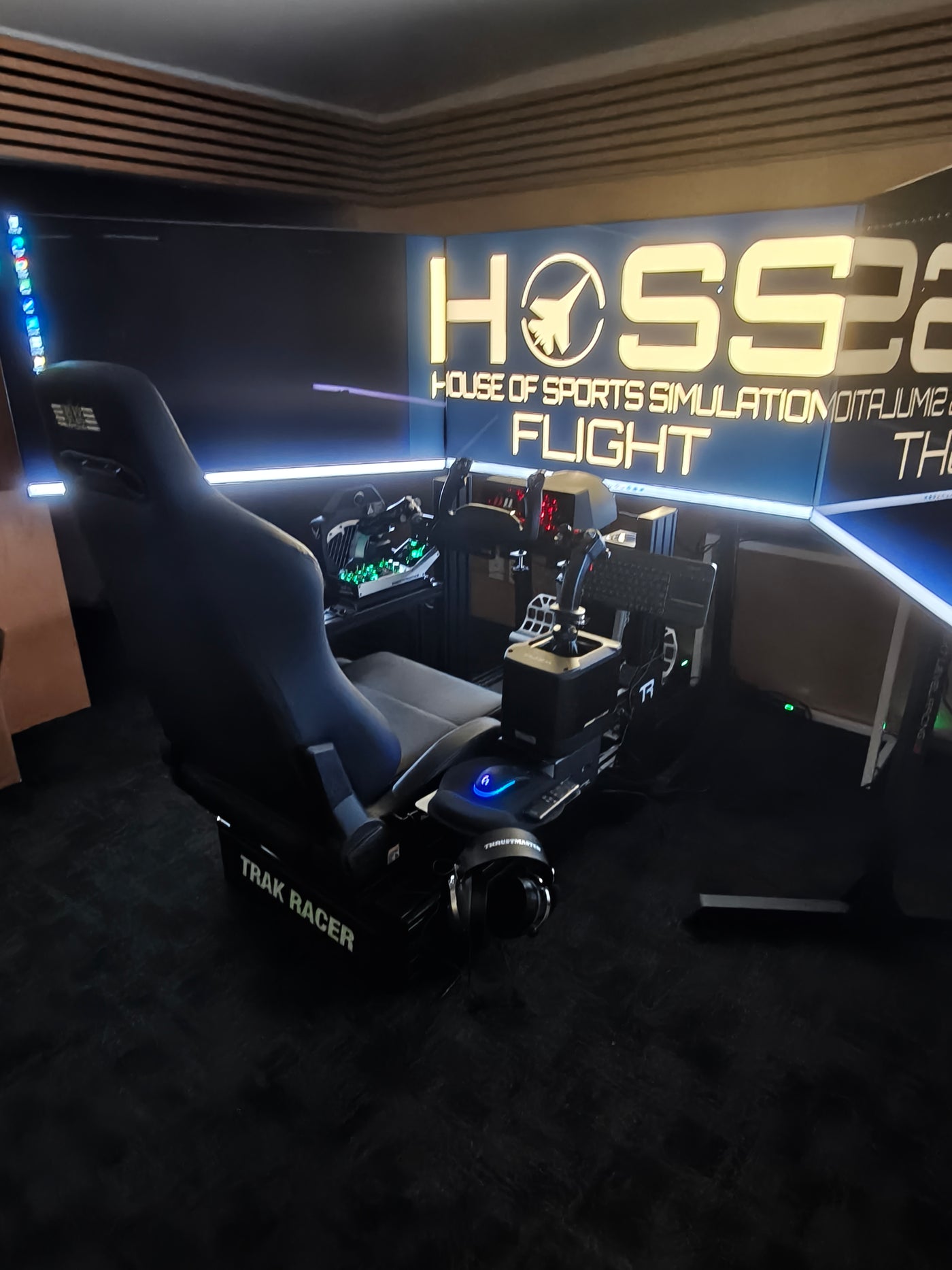 PLATINUM FLIGHT SIMULATOR