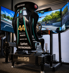 Platinum Motion Sim