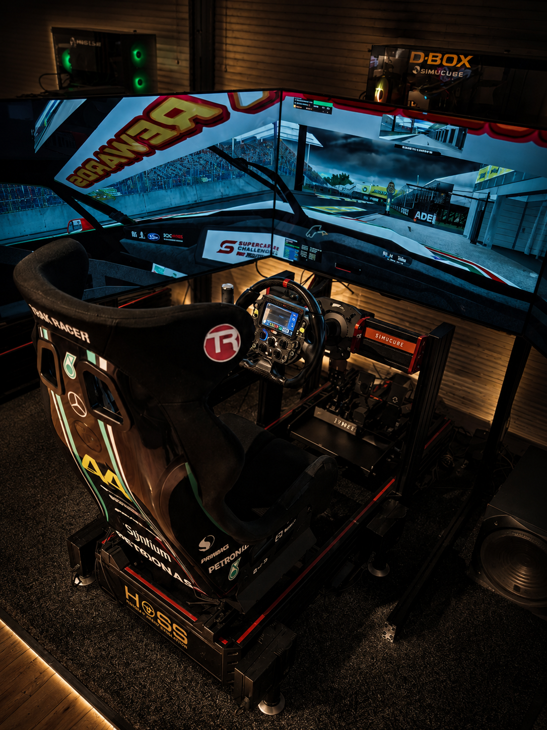 Platinum Motion Sim