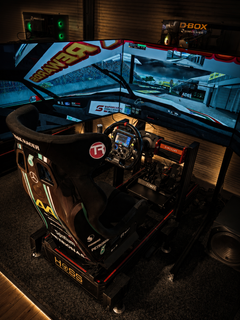 Platinum Motion Sim
