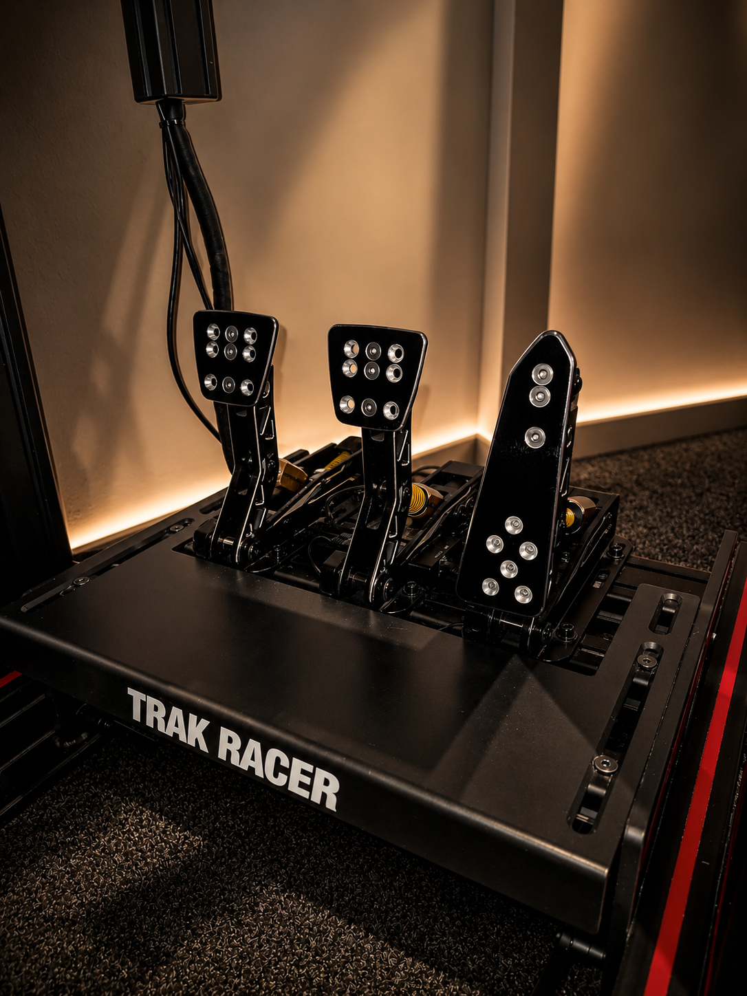 Silver Sim — Rig 1